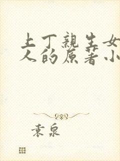 上丁亲生女儿好人的原著小说叫什么