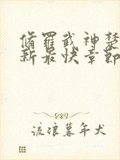 修罗武神楚枫更新最快章节