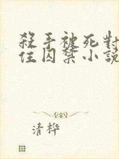 杀手被死对头抓住囚禁小说