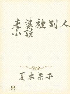 老婆被别人调教小说