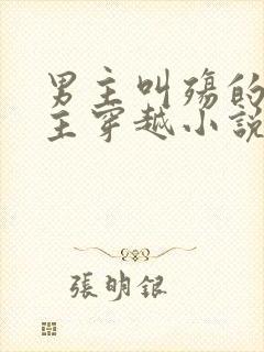 男主叫殇的,女主穿越小说