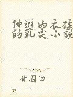 伸进内衣揉捏她的乳尖小说