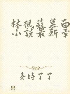 林枫苏慕白穿越小说最新章节更新完了吗