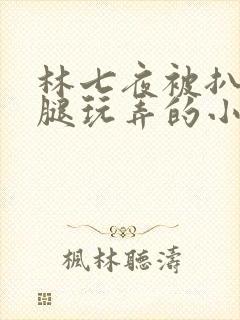 林七夜被扒开双腿玩弄的小说