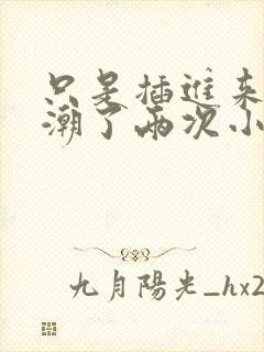 只是插进来就高潮了两次小说