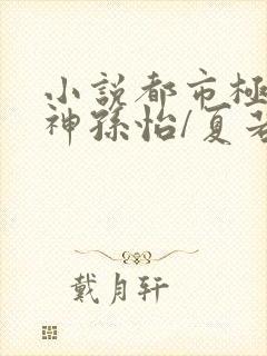 小说都市极品医神孙怡/夏若雪完结版