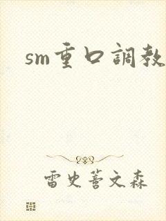 sm重口调教文封面