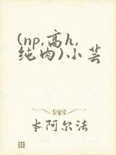 (np,高h,纯肉)小芸