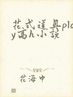 花式道具play高h小说