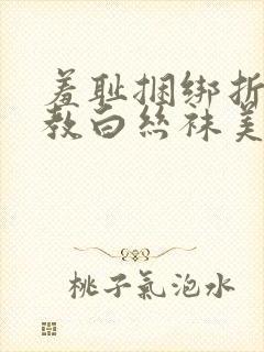 羞耻捆绑折磨调教白丝袜美女的小说