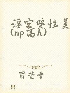 淫宫双性美人录(np高h)