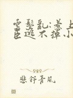 云鬓乱:惹上奸臣逃不掉小说无删减封面