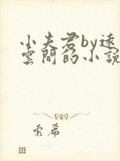 小夫君by远上云间的小说在线阅读