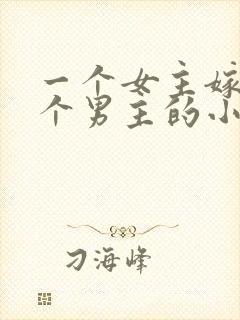 一个女主嫁给多个男主的小说