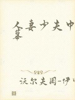 人妻少夫中文字幕封面