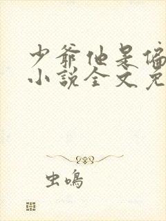 少爷他是偏执狂小说全文免费阅读封面