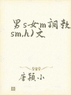 男s女m调教(sm,h)文