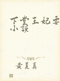 下堂王妃要逆袭小说
