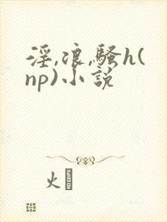 淫,浪,骚h(np)小说