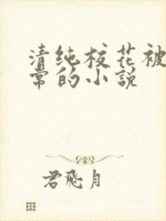 清纯校花被擒日常的小说