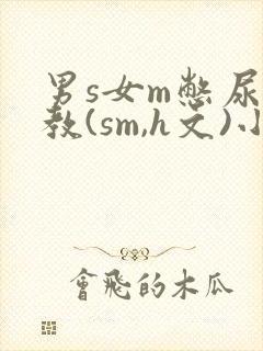 男s女m憋尿调教(sm,h文)小说