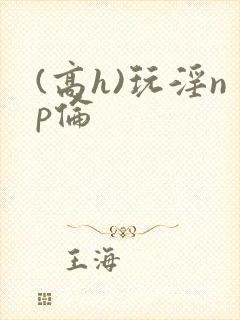 (高h)玩淫np伦