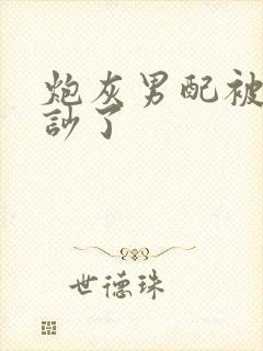 炮灰男配被男主吵了封面