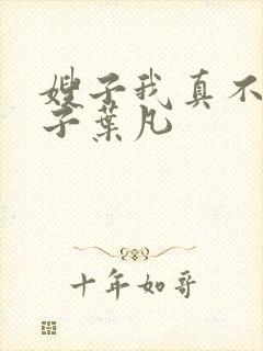 嫂子我真不是傻子叶凡封面