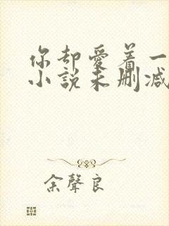 你却爱着一个他小说未删减完整版