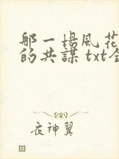 那一场风花雪月的共谋 txt全本封面