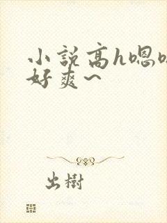 小说高h嗯嗯~好爽~