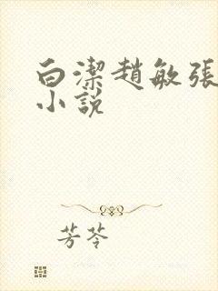 白洁赵敏张倩 小说封面