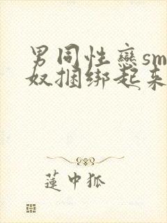 男同性恋sm狗奴捆绑起来调教的故事