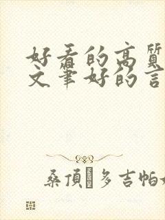 好看的高质量的文笔好的言情