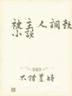 被主人调教sm小说封面