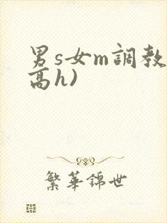 男s女m调教(高h)