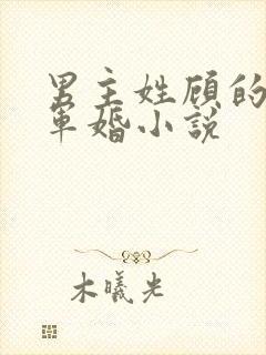 男主姓顾的所有军婚小说