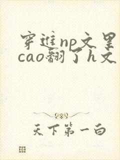 穿进np文里被cao翻了h文封面