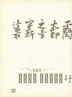 清穿之太子娇妃最新章节阅读封面