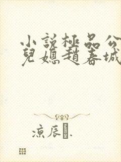 小说极品公公俏儿媳赵春城和苏媚封面