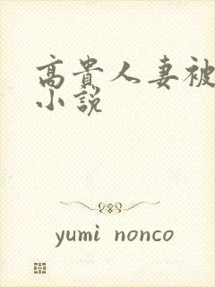 高贵人妻被调教小说