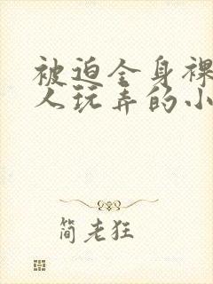 被迫全身裸露供人玩弄的小说