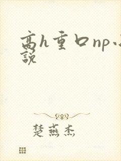 高h重口np小说