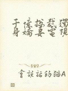 千亿总裁独宠替身娇妻电视剧封面