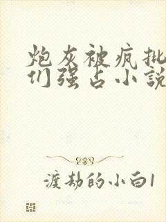 炮灰被疯批男主们强占小说