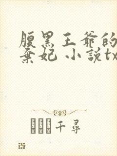 腹黑王爷的绝色弃妃 小说txt下载