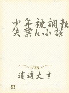 少年被调教爽到失禁h小说