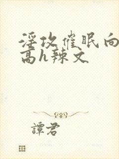 淫攻催眠向np高h辣文