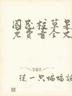 国民校草是女生免费看全文