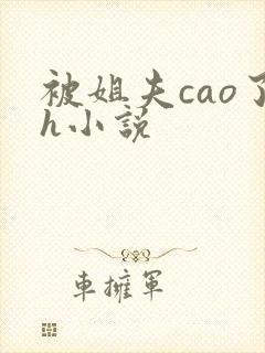 被姐夫cao了h小说封面